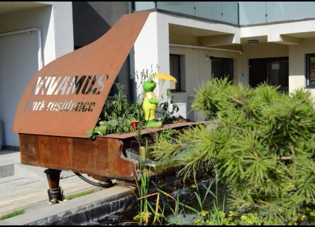 Vivamus Studio براشوف المظهر الخارجي الصورة